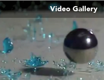 Video Gallery